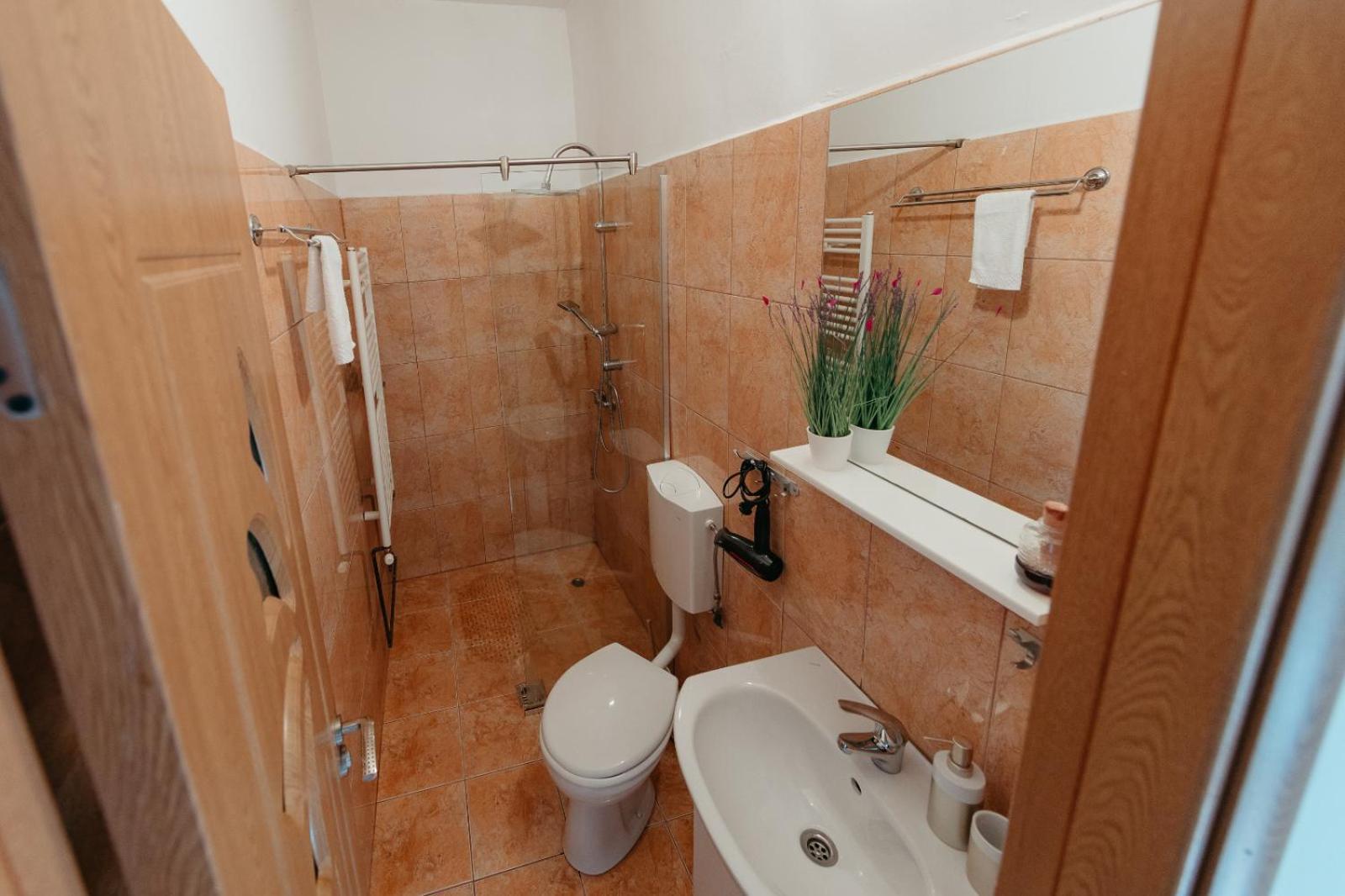 Flh - Apartament Mai Cu Aroma De Cafea Si Ceai Sibiu Exterior foto